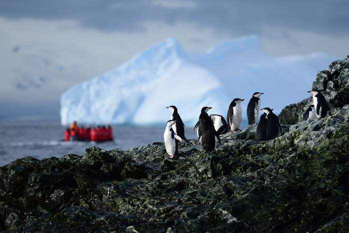 Poseidon Expeditions Zodiacs Excursions 6.JPG